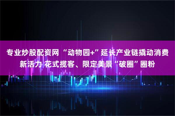 专业炒股配资网 “动物园+”延长产业链撬动消费新活力 花式揽客、限定美景“破圈”圈粉