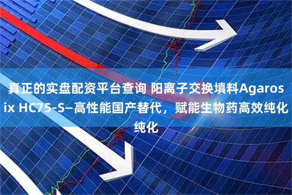 真正的实盘配资平台查询 阳离子交换填料Agarosix HC75-S—高性能国产替代，赋能生物药高效纯化