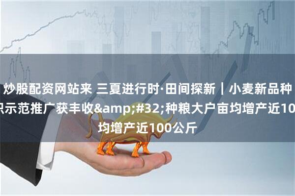 炒股配资网站来 三夏进行时·田间探新｜小麦新品种大面积示范推广获丰收 种粮大户亩均增产近100公斤